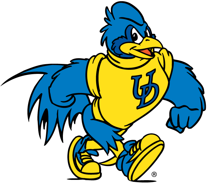 delaware blue hens 1993-pres mascot Logo v5 DIY iron on transfer (heat transfer)
